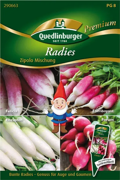Quedlinburger Radies Zipolo Mischung - Gemüsesamen