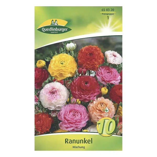 Quedlinburger Ranunkel Mischung, Ranunculus asiaticus, 10 Stück