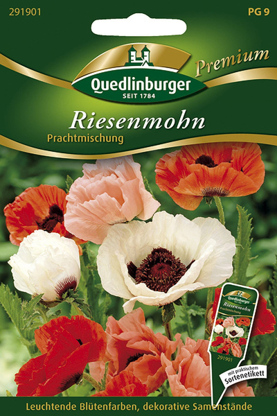 Quedlinburger Riesenmohn Prachtmischung - Blumensamen