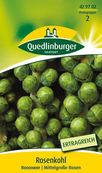 Quedlinburger Rosenkohl Roodnerf - Gemüsesamen Quedlinburger Rosenkohl Roodnerf - Gemüsesamen