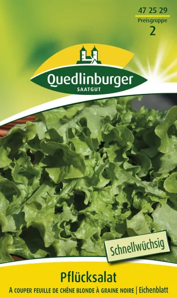 Quedlinburger Salat A couper feuille de chene - Gemüsesamen