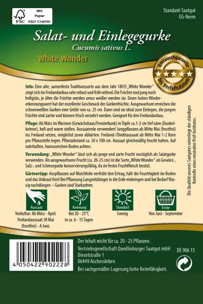 Quedlinburger Salat-u. Einlegegurke White Wonder - Gemüsesamen