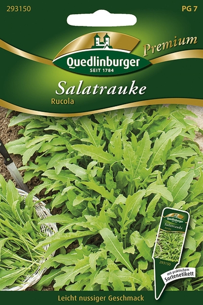 Quedlinburger Salatrauke Rucola - Kräutersamen