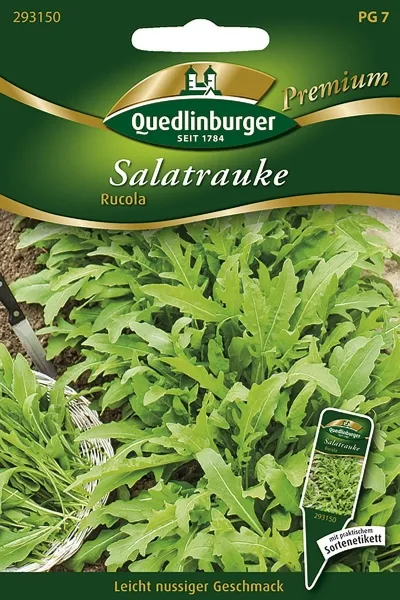 Quedlinburger Salatrauke Rucola - Kräutersamen