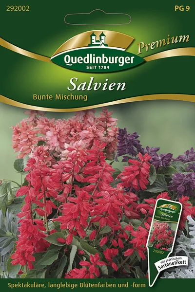 Quedlinburger Salvien Bunte Mischung - Blumensamen Quedlinburger Salvien Bunte Mischung - Blumensamen