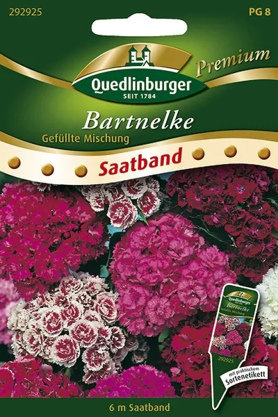 Quedlinburger SB Bartnelke Gefüllte Mischung (6 m) - Blumensamen