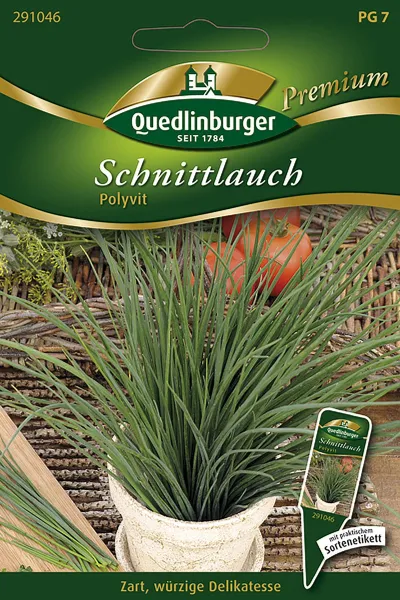 Quedlinburger Schnittlauch Polyvit - Kräutersamen Quedlinburger Schnittlauch Polyvit - Kräutersamen