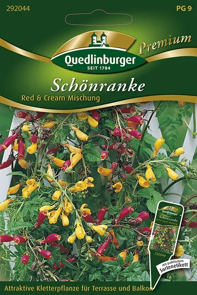 Quedlinburger Schönranke Red & Cream Mischung - Blumensamen