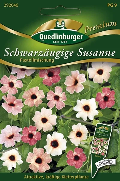 Quedlinburger Schwarzäugige Susanne Pastellmischung - Blumensamen