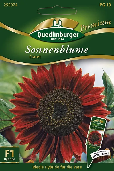 Quedlinburger Sonnenblume Claret - Blumensamen Quedlinburger Sonnenblume Claret - Blumensamen
