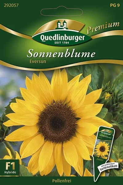Quedlinburger Sonnenblume Eversun - Blumensamen