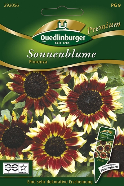 Quedlinburger Sonnenblume Florenza - Blumensamen
