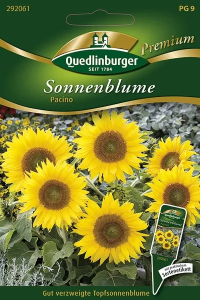 Quedlinburger Sonnenblume Topfsorte Pacino - Blumensamen Quedlinburger Sonnenblume Topfsorte Pacino - Blumensamen