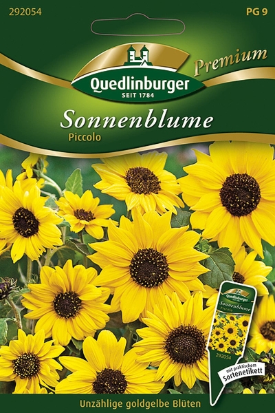 Quedlinburger Sonnenblume Piccolo - Blumensamen