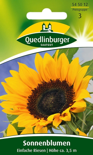 Quedlinburger Sonnenblumen Einfache Riesen - Blumensamen