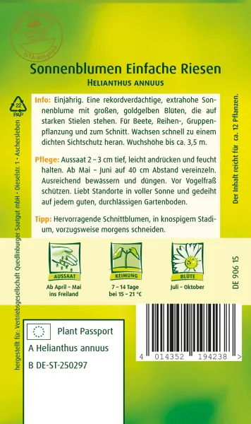 Quedlinburger Sonnenblumen Einfache Riesen - Blumensamen