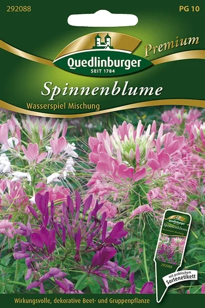 Quedlinburger Spinnenblume Wasserspiel Mischung - Blumensamen