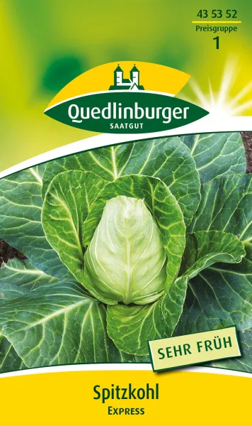 Quedlinburger Spitzkohl Express - Gemüsesamen