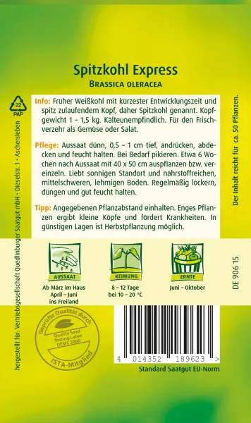 Quedlinburger Spitzkohl Express - Gemüsesamen