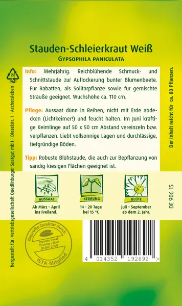 Quedlinburger Stauden-Schleierkraut Weiß - Blumensamen