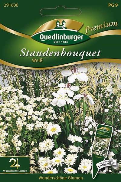 Quedlinburger Staudenbouquet Weiß - Blumensamen