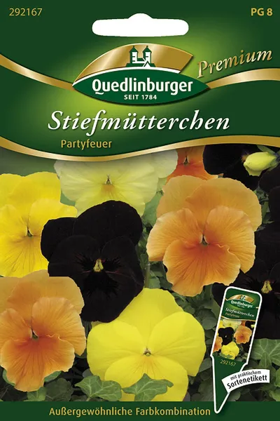 Quedlinburger Stiefmütterchen Partyfeuer - Blumensamen