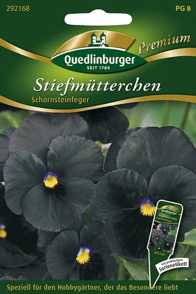 Quedlinburger Stiefmütterchen Schornsteinfeger - Blumensamen