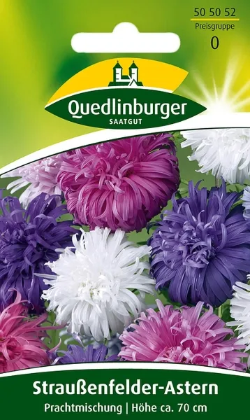 Quedlinburger Straußenfeder-Astern Prachtmischung - Blumensamen Quedlinburger Straußenfeder-Astern Prachtmischung - Blumensamen