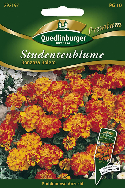Quedlinburger Studentenblume Bonanza Bolero - Blumensamen