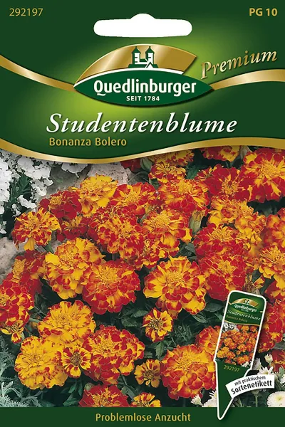 Quedlinburger Studentenblume Bonanza Bolero - Blumensamen