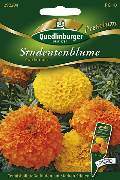 Quedlinburger Studentenblume Crackerjack - Blumensamen