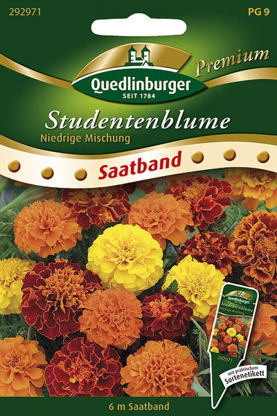 Quedlinburger Studentenblume niedrige Mischung Saatband 6 Meter - Blumensamen