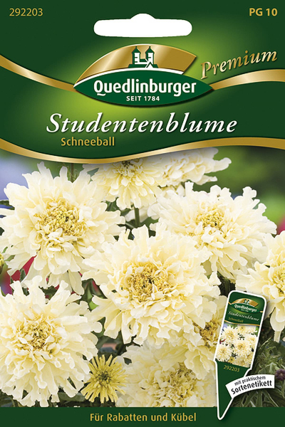 Quedlinburger Studentenblume Schneeball - Blumensamen