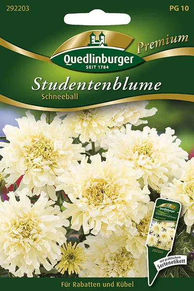 Quedlinburger Studentenblume Schneeball - Blumensamen
