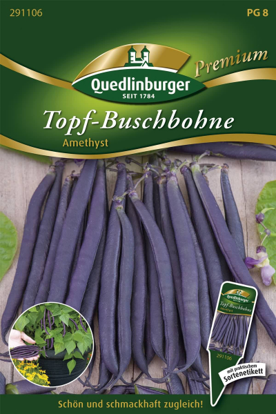 Quedlinburger Topf-Buschbohne Amethyst - Gemüsesamen