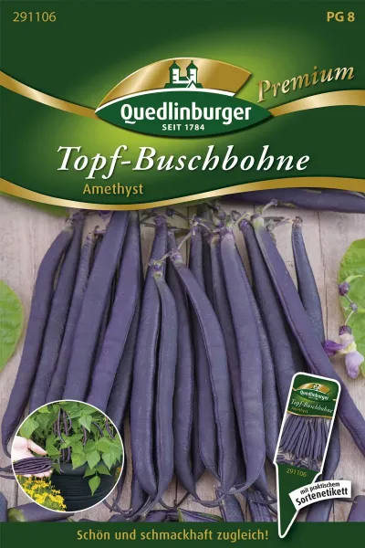 Quedlinburger Topf-Buschbohne Amethyst - Gemüsesamen