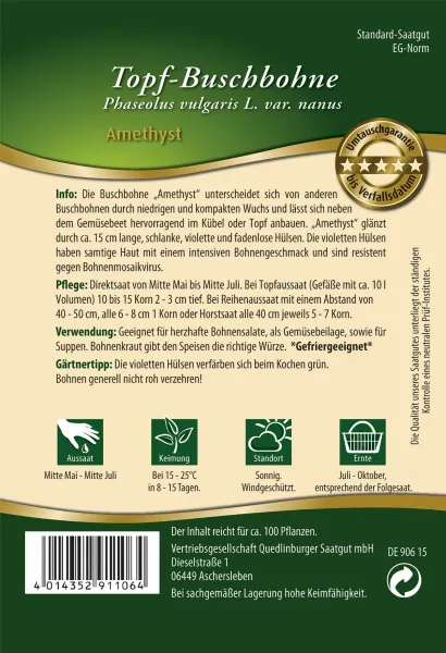 Quedlinburger Topf-Buschbohne Amethyst - Gemüsesamen