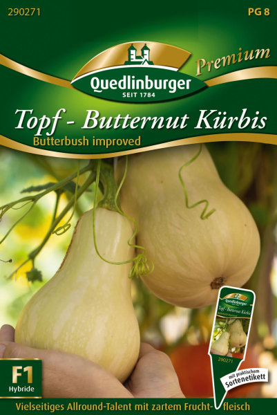 Quedlinburger Topf-Butternut Kürbis Butterbush improved - Gemüsesamen