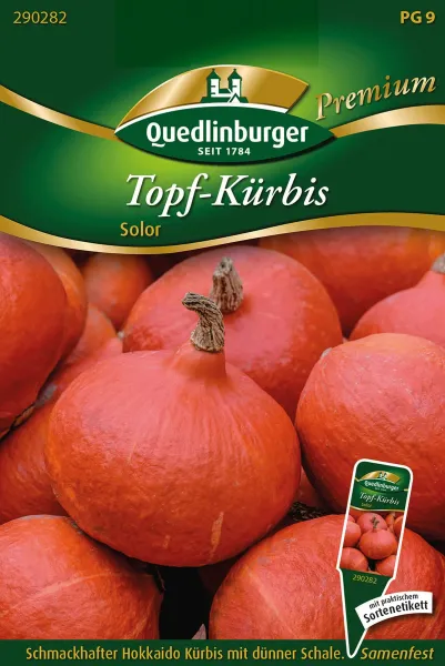 Quedlinburger Topf-Kürbis Solor - Gemüsesamen