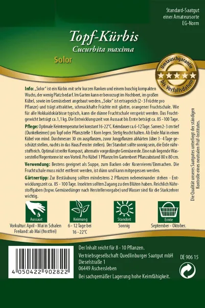 Quedlinburger Topf-Kürbis Solor - Gemüsesamen