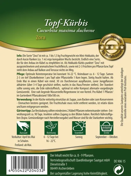 Quedlinburger Topf-Kürbis Zora - Gemüsesamen
