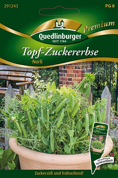 Quedlinburger Topf-Zuckererbse Norli - Premium Gemüsesamen