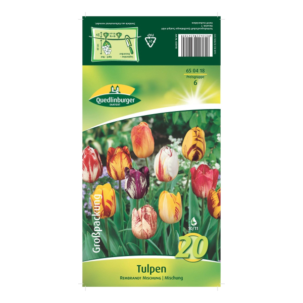 Quedlinburger Tulpen 'Rembrandt Mischung', Großpackung, 20 Stück