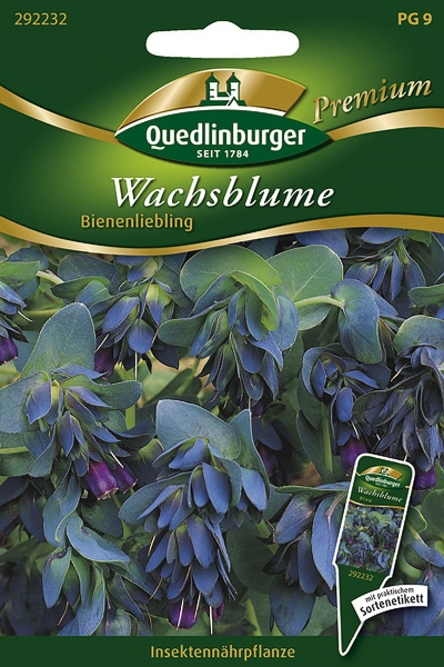 Quedlinburger Wachsblumen Bienenliebling - Blumensamen