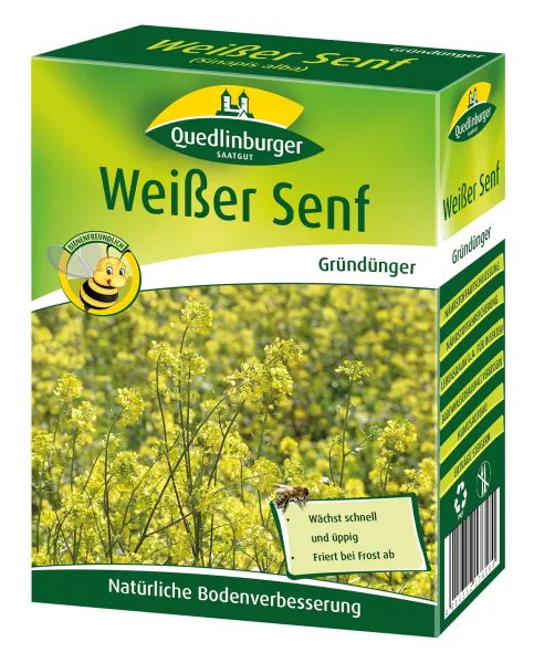 Quedlinburger Gründünger Weißer Senf Sinapis für ca. 100 m² 500 g - Faltschachtel