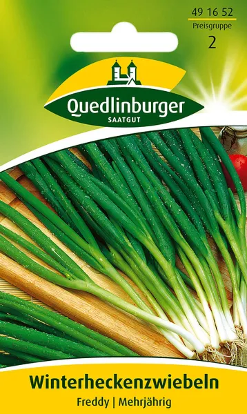 Quedlinburger Winterheckenzwiebeln Freddy - Gemüsesamen Quedlinburger Winterheckenzwiebeln Freddy - Gemüsesamen