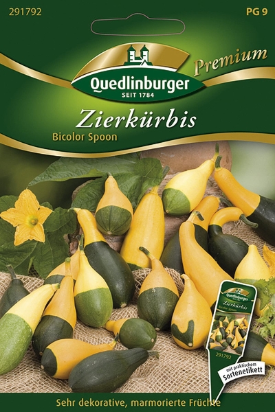 Quedlinburger Zierkürbis Bicolor Spoon - Blumensamen