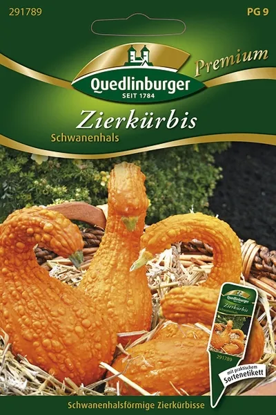Quedlinburger Zierkürbis Schwanenhals - Blumensamen