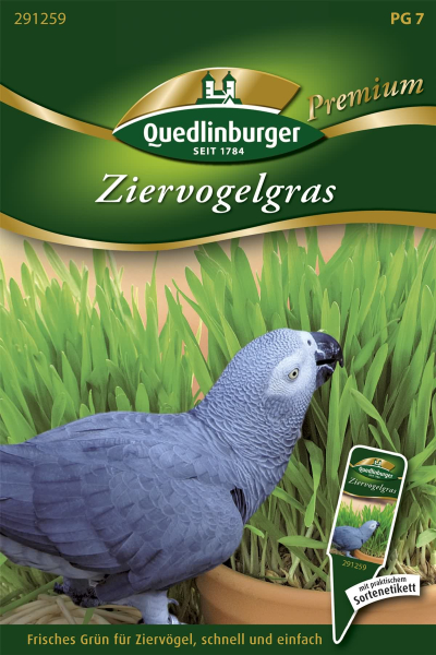 Quedlinburger Ziervogelgras - Futtersamen