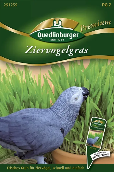 Quedlinburger Ziervogelgras - Futtersamen